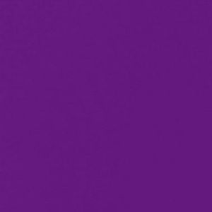 Meet your Posher, Elise